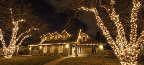 Lighting Up Your Trees for the Holidays?
