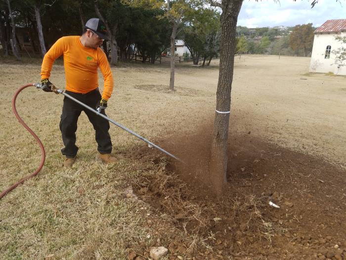 Tree Care Austin, TX Good Guys Tree Service