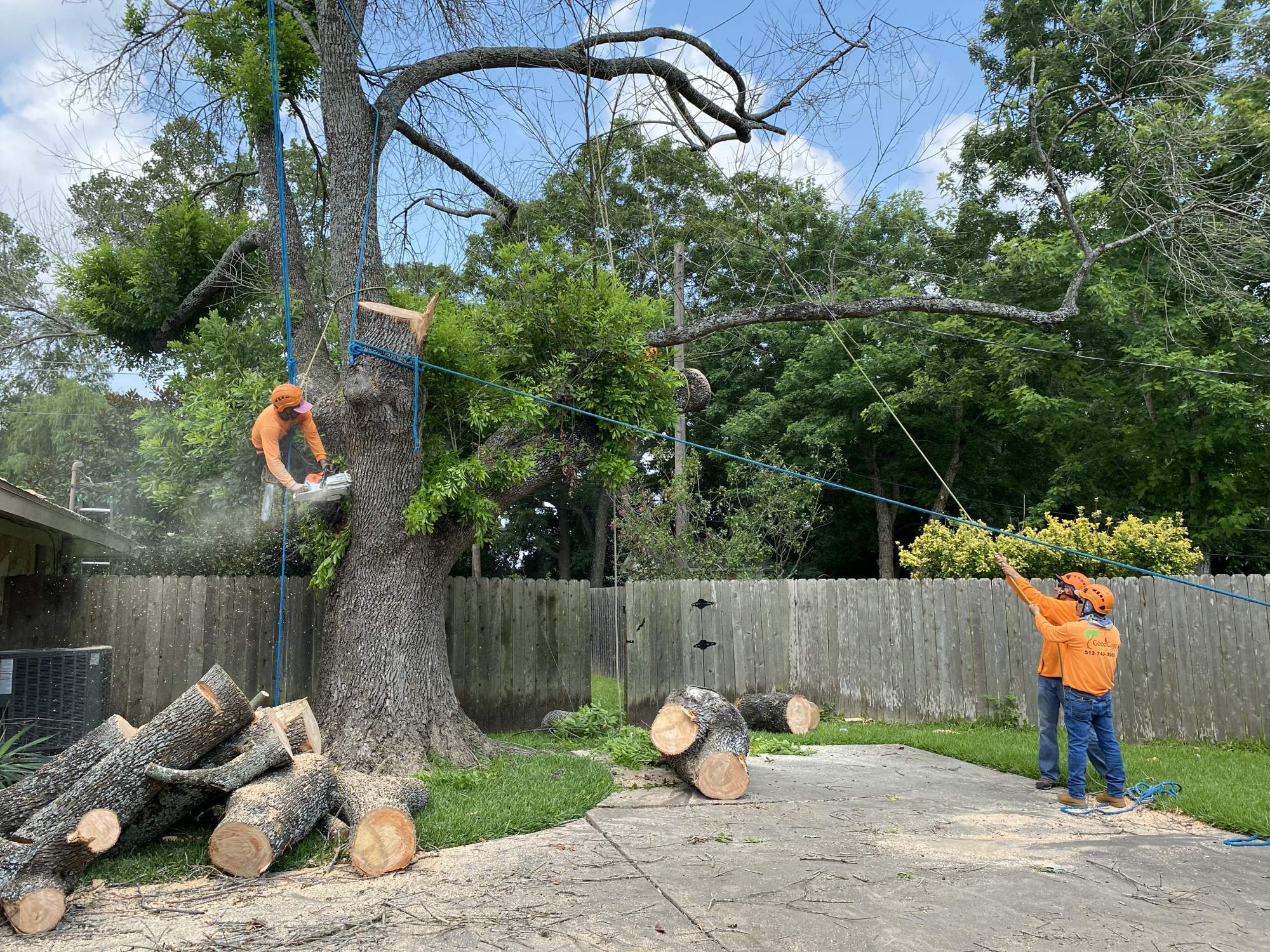 Good Guys Tree Service professional tree care