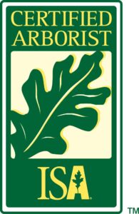 Arborist Austin TX