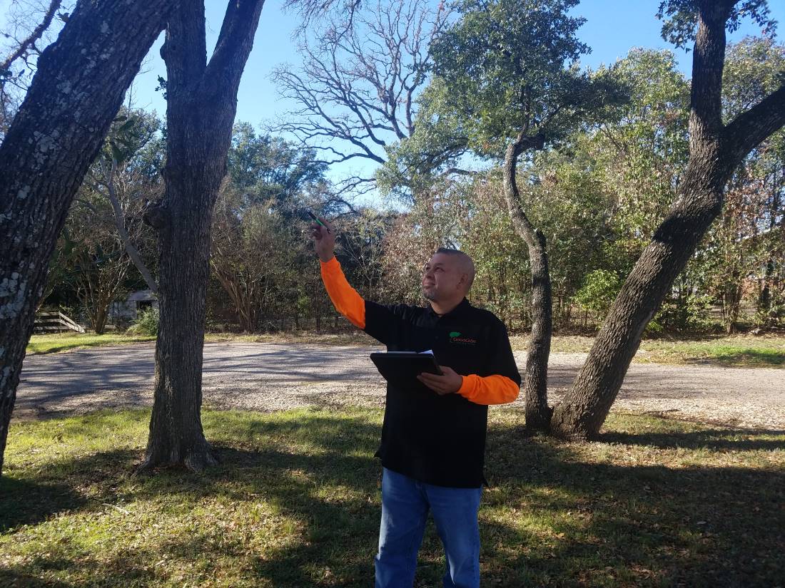 Quality_Assurance2 Highest Quality Tree Service